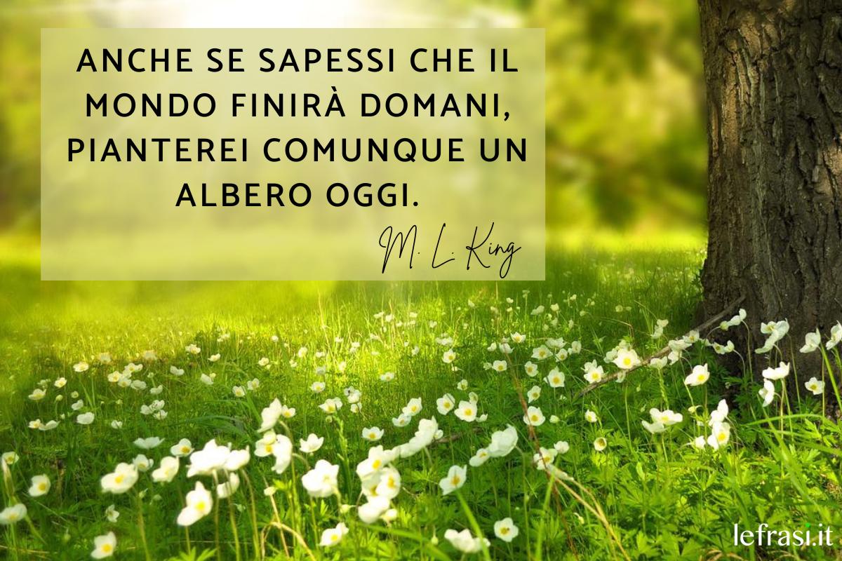 Frasi sull'ambiente