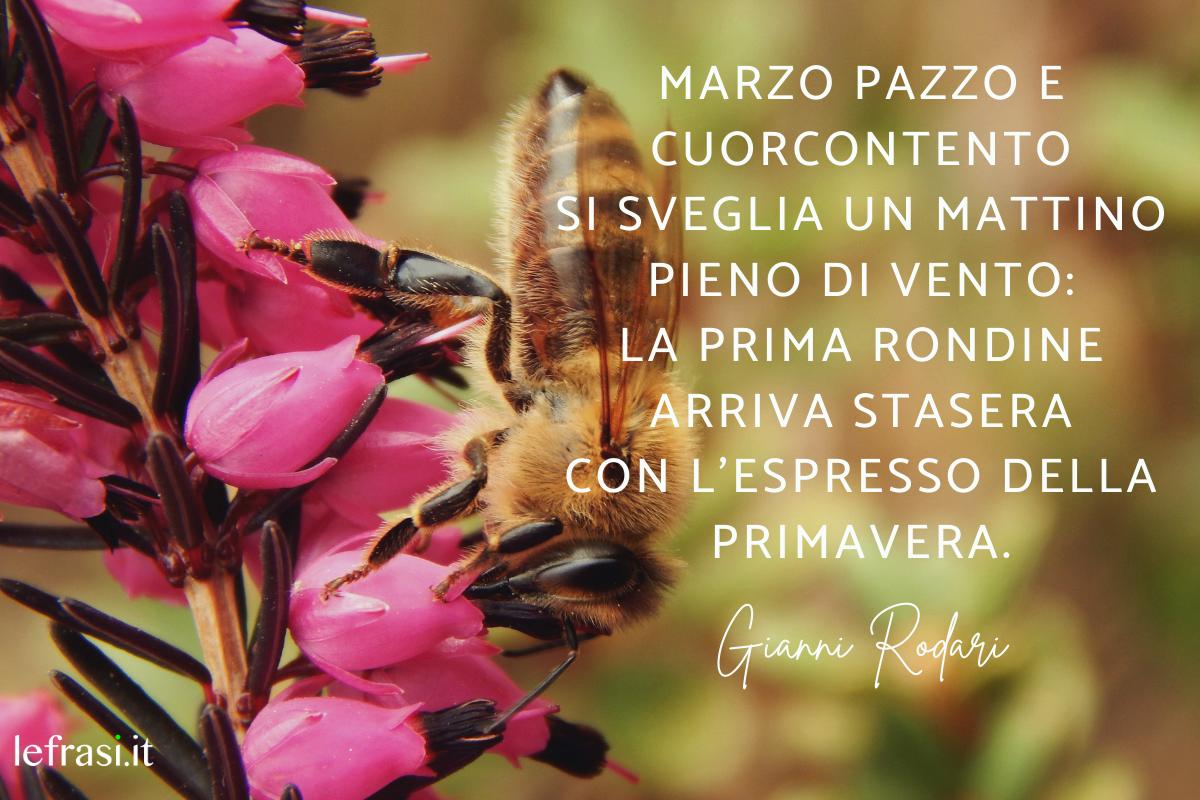 +50 Frases de MARZO - ¡Bonitas y graciosas!