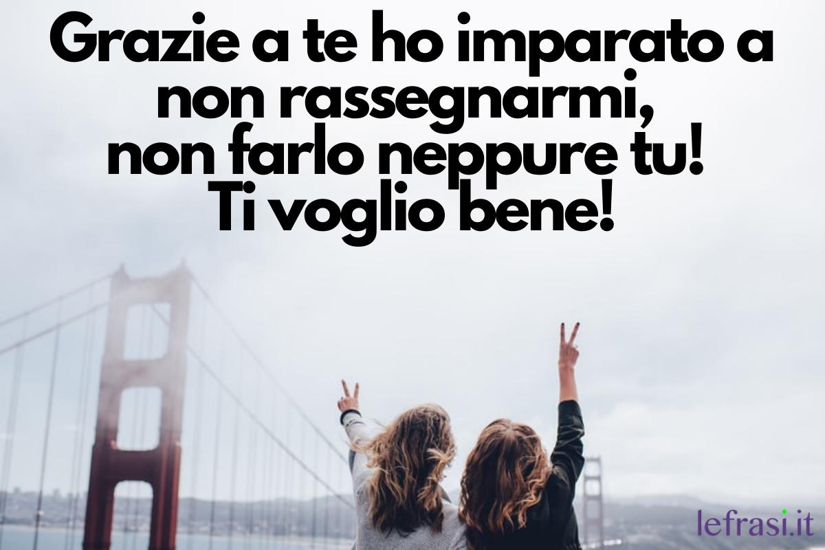Ti voglio bene amica mia: 50+ frasi più BELLE