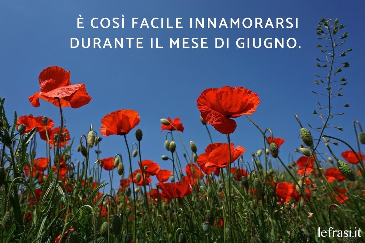 Frasi su giugno