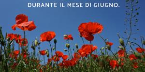 Frasi su giugno