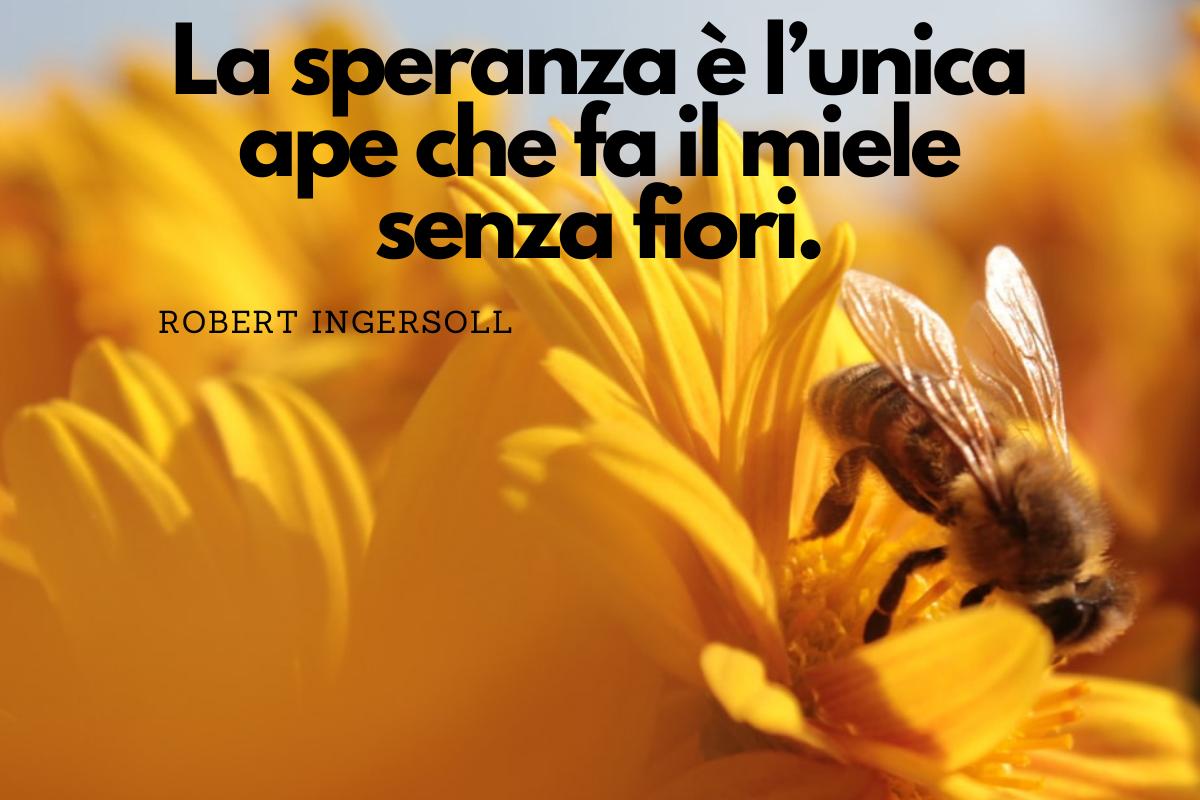 Frasi Della Bibbia Sulla Speranza +50 Frasi sulla SPERANZA: Corte e Motivazionali