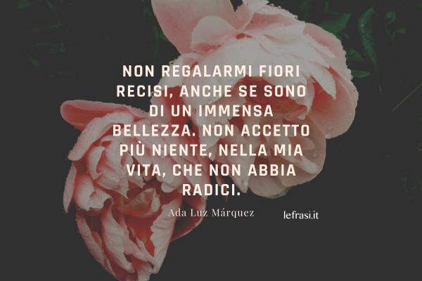 Frasi di Ada Luz Márquez - Non regalarmi fiori recisi, anche se sono di un immensa bellezza. Non accetto più niente, nella mia vita, che non abbia radici.