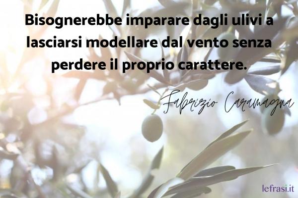 Frasi di Fabrizio Caramagna - Bisognerebbe imparare dagli ulivi a lasciarsi modellare dal vento senza perdere il proprio carattere.