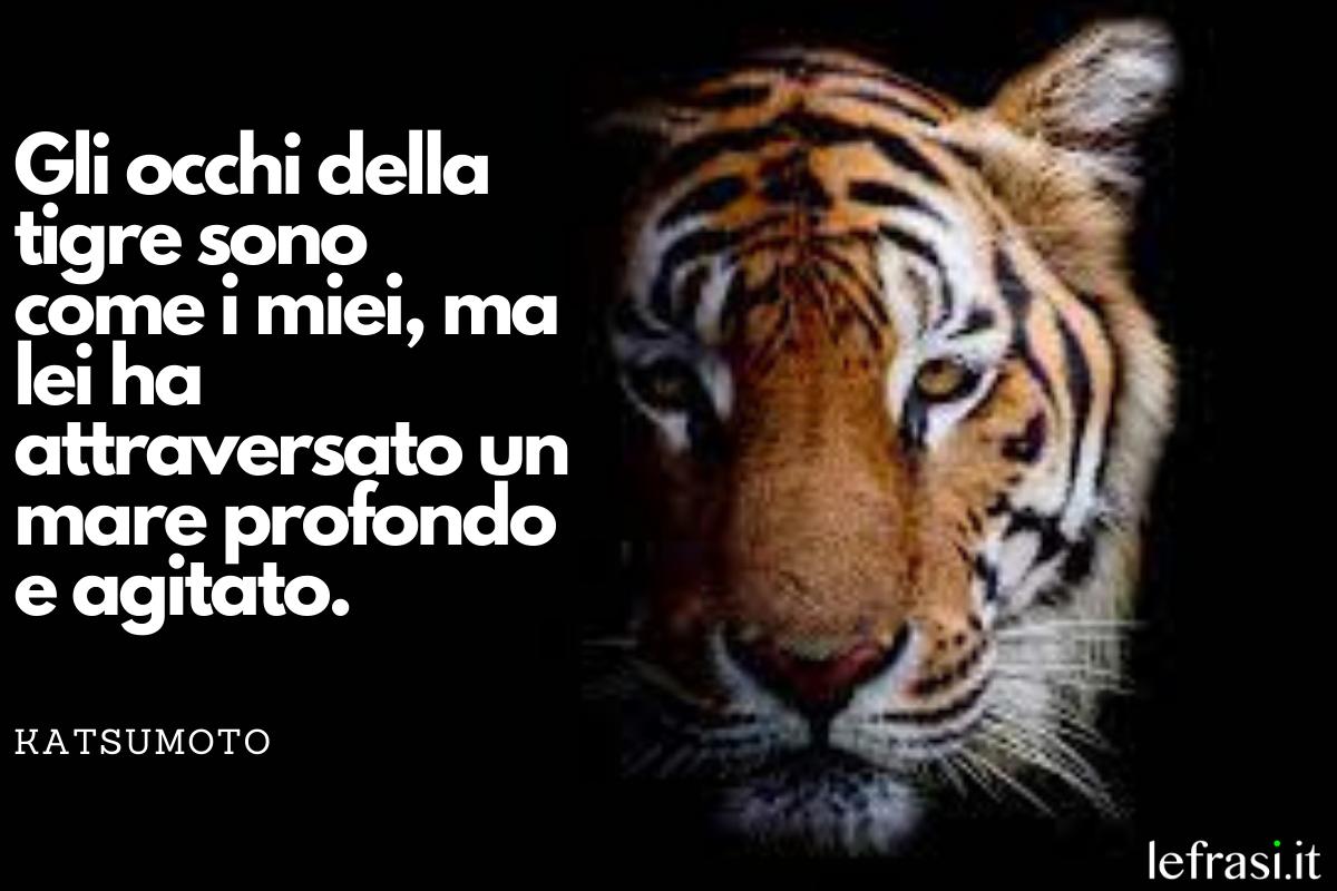 Frasi sulla tigre