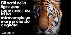 Frasi sulla tigre