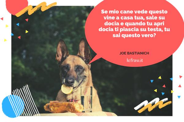 Frasi di Joe Bastianich - Se mio cane vede questo vine a casa tua, sale su docia e quando tu apri docia ti piascia su testa, tu sai questo vero?