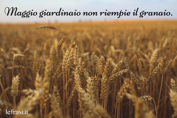 Frasi su maggio - Maggio giardinaio non riempie il granaio.