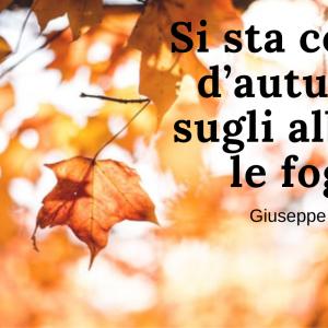 Frasi sull'autunno