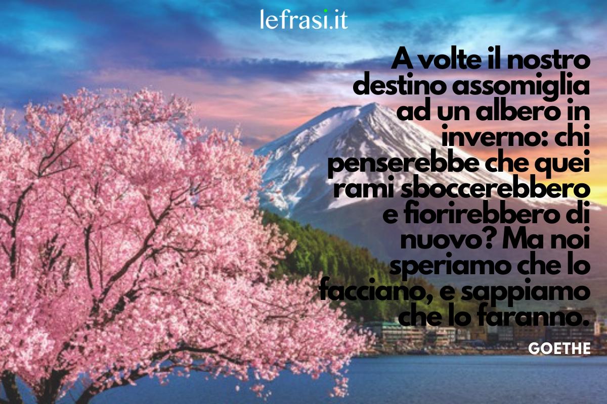 belle frasi frasi sul destino